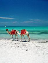 djerba